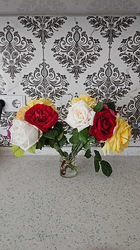IMG-20260512-WA0002