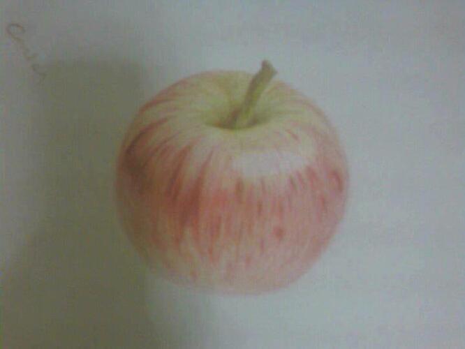 488086_107138852812374_18960587_n