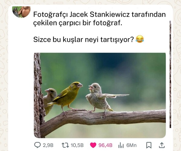 Screenshot_20251022_145057_WhatsApp