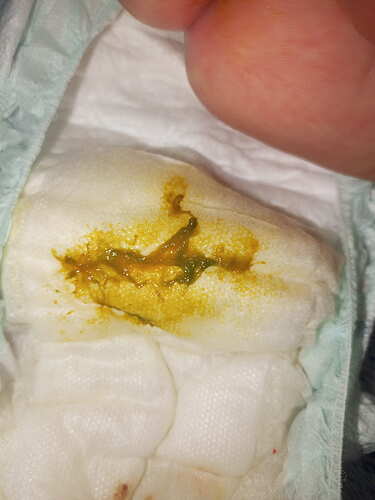 IMG_20260422_082439_794