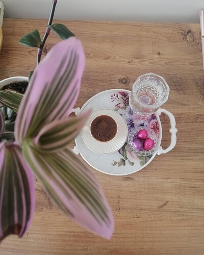 Screenshot_20260216_154311_Photos