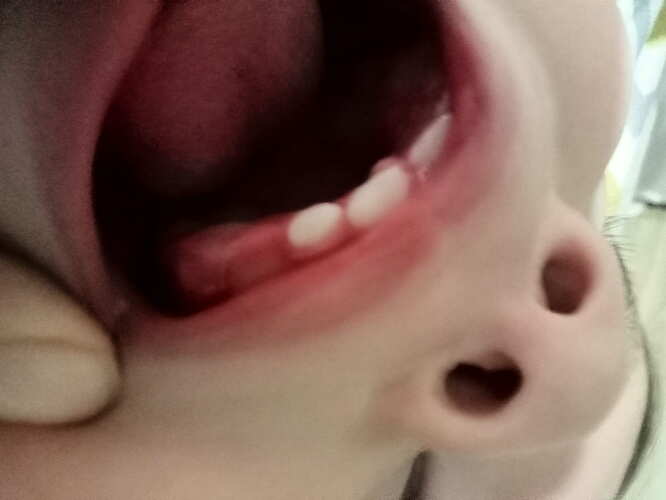 IMG20251030174723