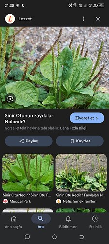 Screenshot_20251209-213018