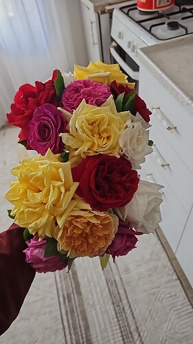 IMG-20260512-WA0005