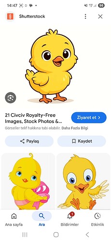 Screenshot_20260311_144734_Google