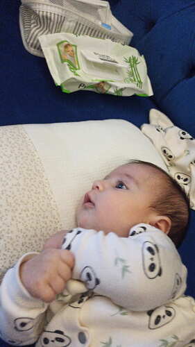 IMG-20241020-WA0008
