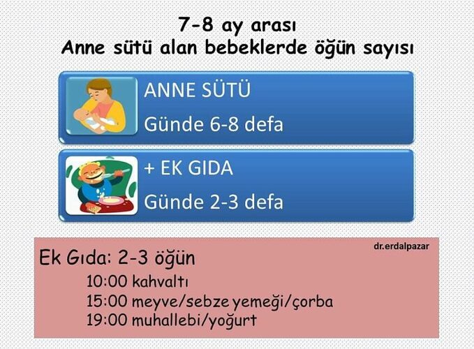 8ay-as-alan-bebek-1024x753