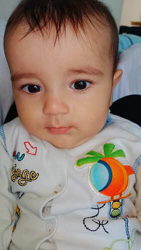 IMG-20241009-WA0000