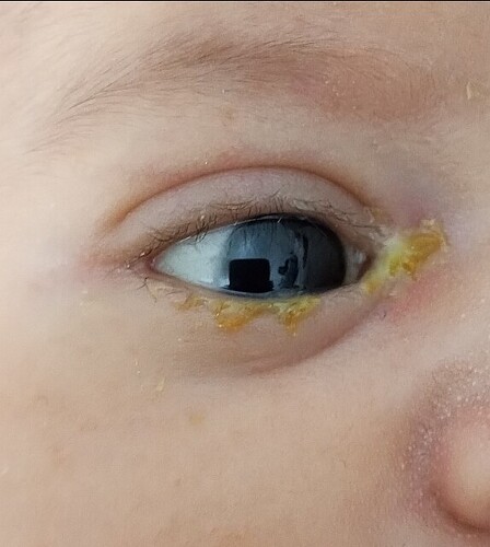 IMG_20241211_083928_546