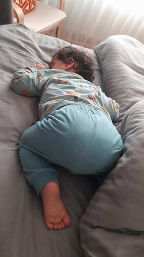 IMG-20251125-WA0018