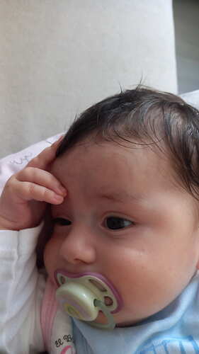 IMG-20241018-WA0010