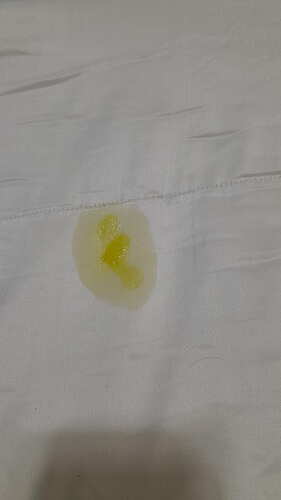 IMG-20250819-WA0254