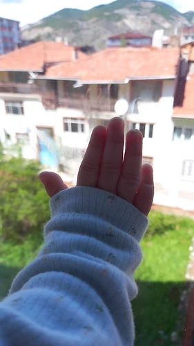 IMG_20250414_130639_070