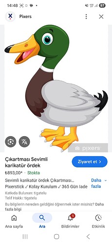 Screenshot_20260311_144838_Google