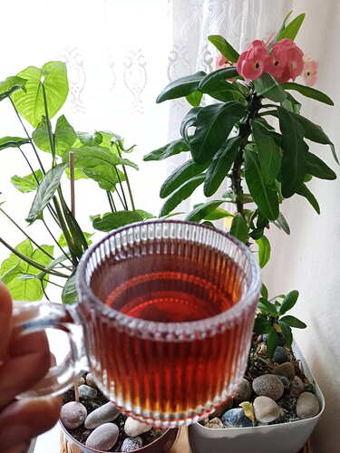 IMG_20260218_111344_330