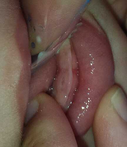 IMG-20250406-WA0010