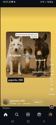 Screenshot_20250816_230144_Instagram