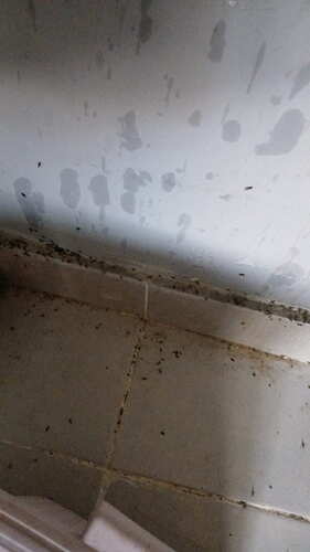 IMG-20250528-WA0001