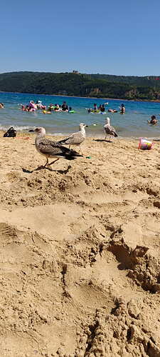 IMG_20250717_144509_323