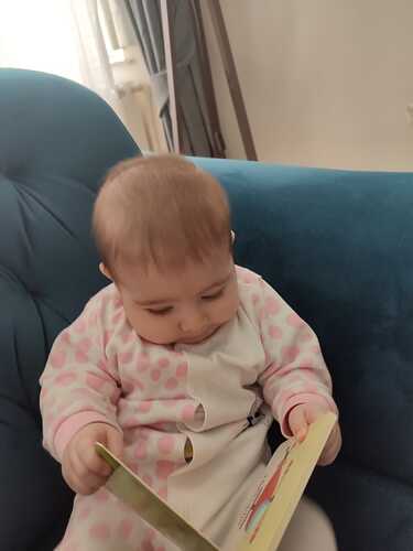 IMG-20250317-WA0031