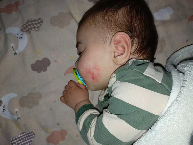 IMG_20260402_004519_781