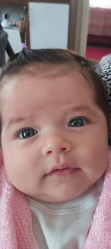 Screenshot_20250804-145354