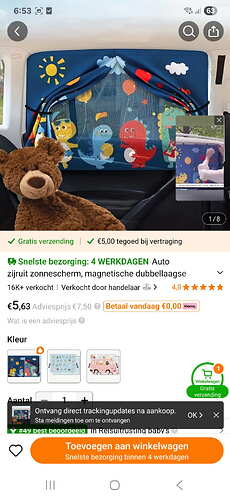 Screenshot_20250731_185340_Temu