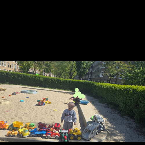 PhotoGrid_Site_1777403046324