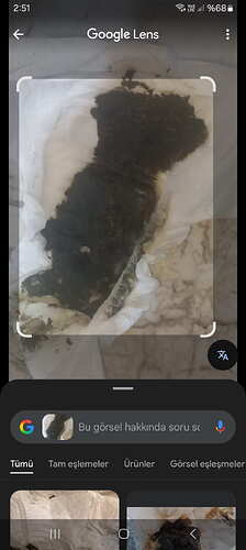 Screenshot_20260112_025155_Google