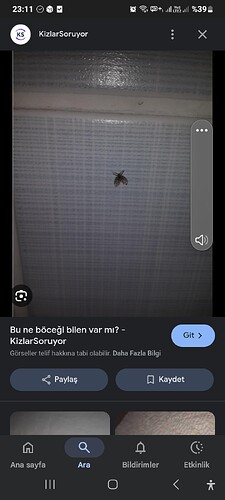 Screenshot_20250620_231151_Google