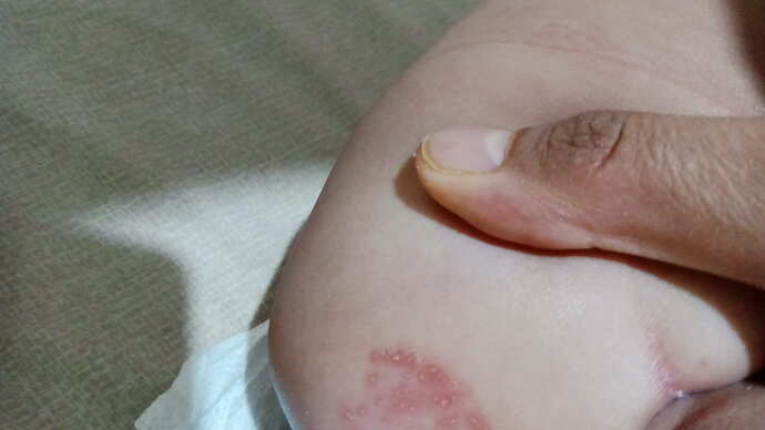 IMG-20250113-WA0575