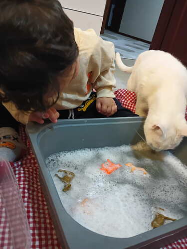 IMG_20260422_192302_208